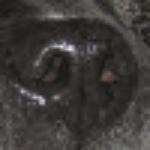 Restaurante Freiduria Bar Los Amigos